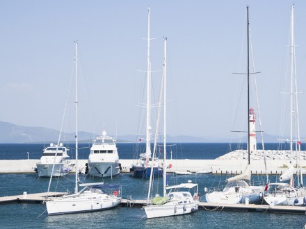 Financial, accounting and tax tips - deducting sales taxes