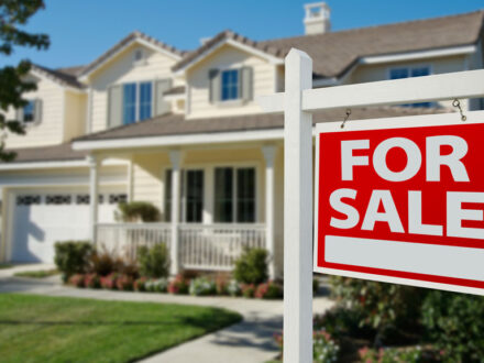 Buy a Home in St Petersburg Florida