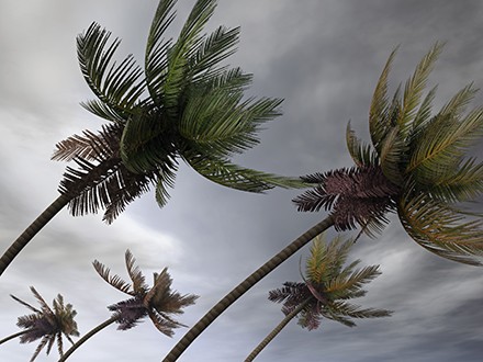 Keep your records safe in case disaster strikes in Tampa, Florida