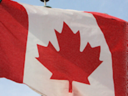 Got a Canadian Retirement Plan? IRS Simplifies Procedures in Tampa, Florida