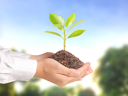 Starting a New Business or Organization in Tampa, Florida?