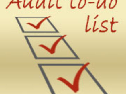 Businesses: How to Help Prepare for Audit Season in St Petersburg, Florida