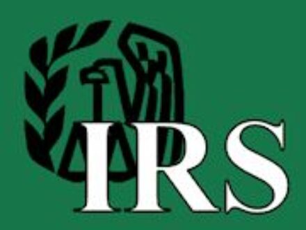 S Corps in St Petersburg Florida