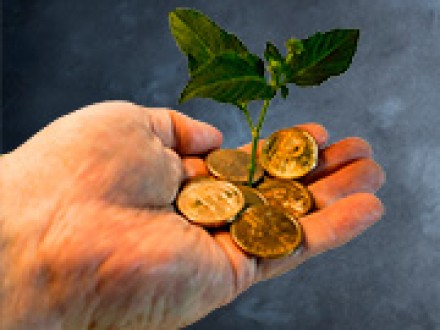 Auto-Enrollment in St Petersburg Florida