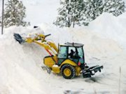 Requirements in St Petersburg Florida