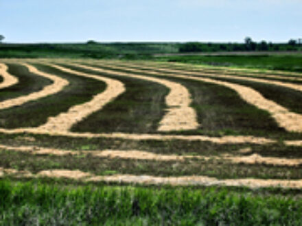 Farming Businesses in St Petersburg Florida