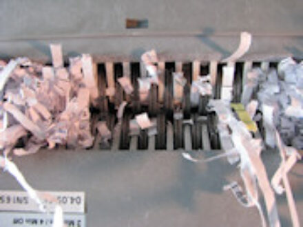 Records in St Petersburg Florida