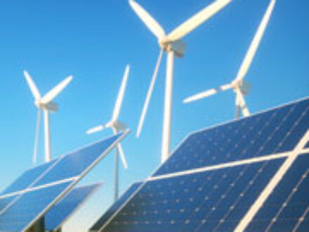 B Corps in St Petersburg Florida