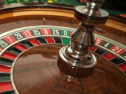 Amateur Gamblers in St Petersburg Florida