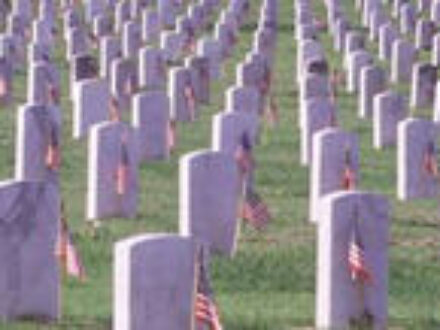 Memorial Day in St Petersburg Florida