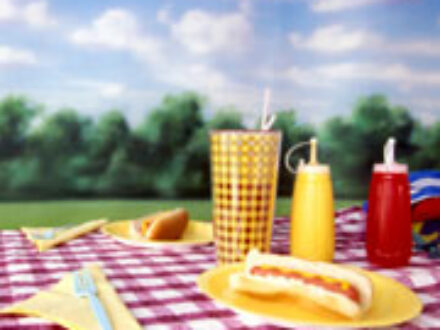 Summer in St Petersburg Florida