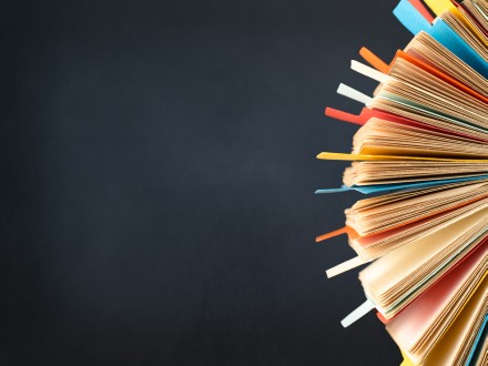 Forensic Accounting Expert in St Petersburg Florida