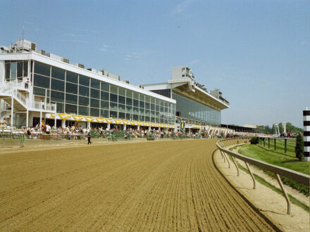 Gambling in St Petersburg Florida