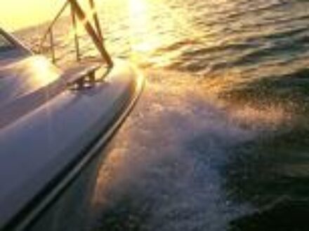 New Business in St Petersburg Florida