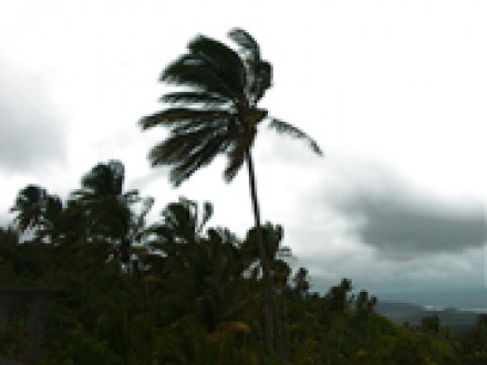 Casualty in St Petersburg Florida