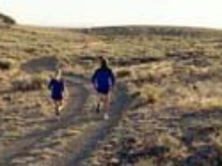 Sales in St Petersburg Florida