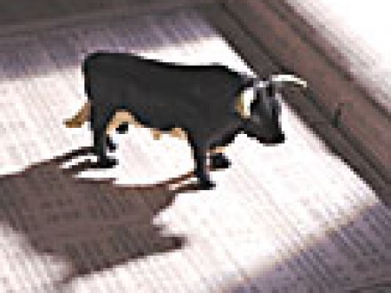 Market in St Petersburg Florida