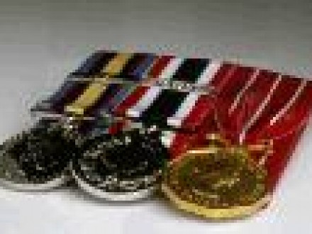 Veteran's Day in St Petersburg Florida