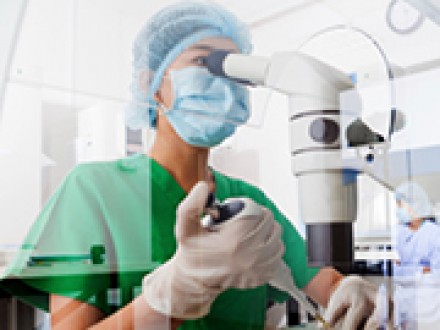 Research Credit in St Petersburg Florida