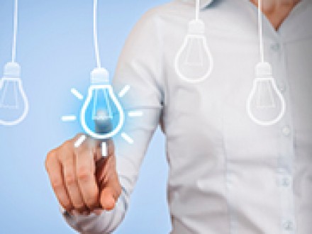 Elections in St Petersburg Florida