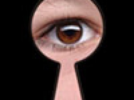 Criminal Background Checks in St Petersburg Florida