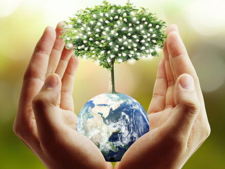 Green in St Petersburg Florida