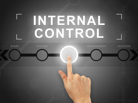 Audit Process in St Petersburg Florida