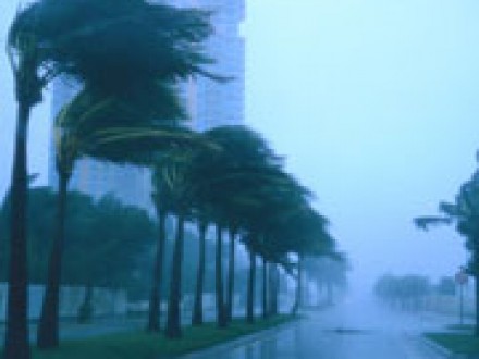 Weather Emergency in St Petersburg Florida