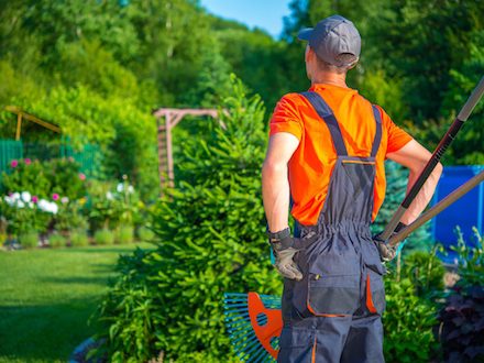 Household Employee in St Petersburg Florida