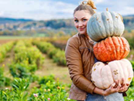 Seasonal Businesses in St Petersburg Florida