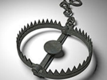 Jobs in St Petersburg Florida