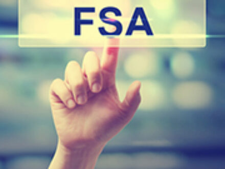 FSAs in St Petersburg Florida