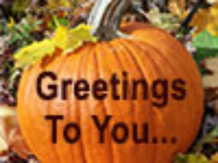 Thanksgiving in St Petersburg Florida