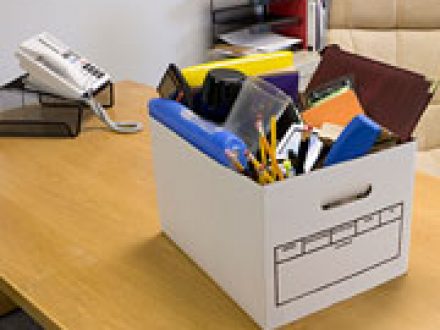 Elimination in St Petersburg Florida