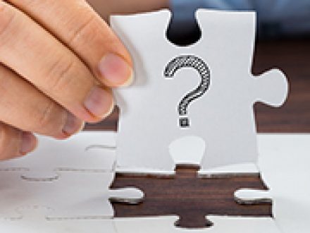 Partner in St Petersburg Florida