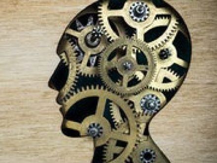 Mental Health in St Petersburg Florida