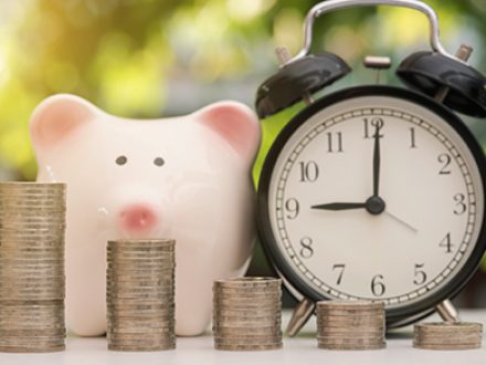 Contributions in St Petersburg Florida