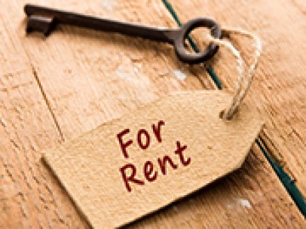 PAL Rules in St Petersburg Florida