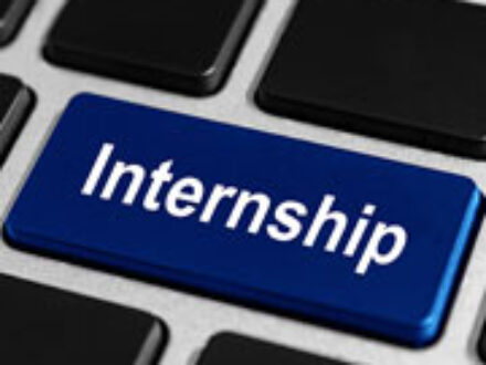 Internship in St Petersburg Florida