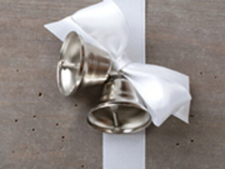 Wedding in St Petersburg Florida