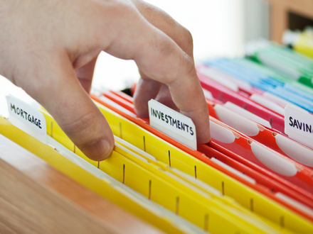 IRD in St Petersburg Florida