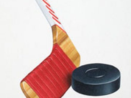 Minimis Fringe Benefit in St Petersburg Florida