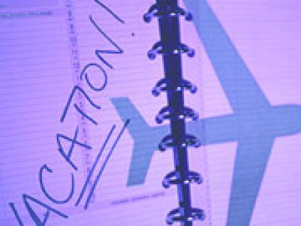 Vacation in St Petersburg Florida