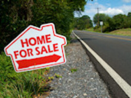 Divorce in St Petersburg Florida