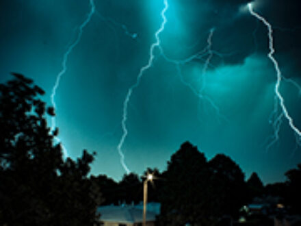 Theft Losses in St Petersburg Florida