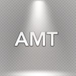 AMT Calculations in St Petersburg Florida