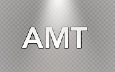 AMT Calculations in St Petersburg Florida
