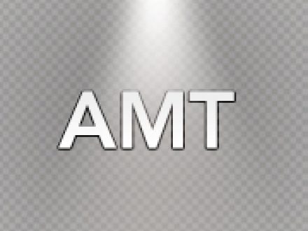 AMT Calculations in St Petersburg Florida